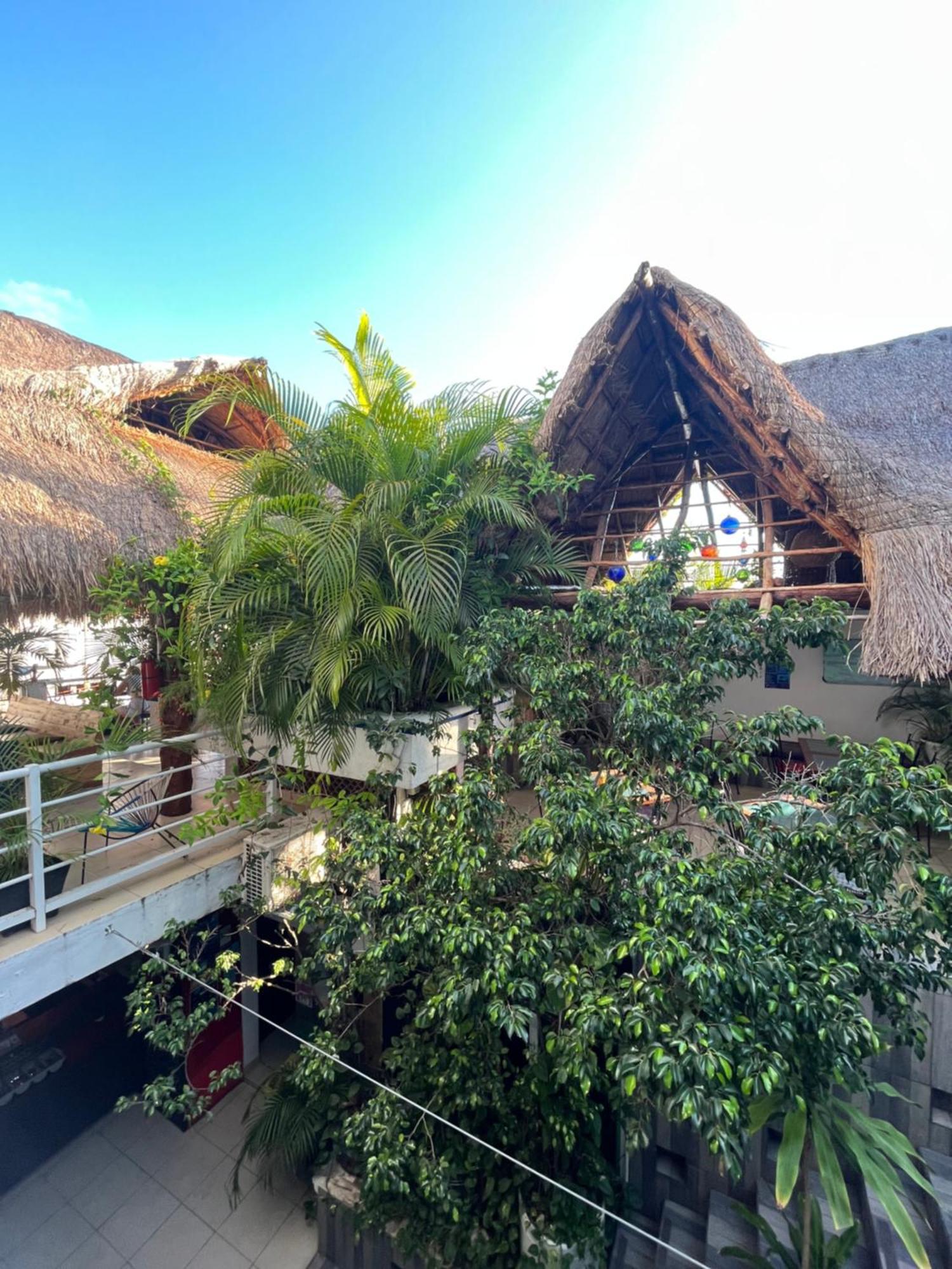 Hostelito Hotel Cozumel Exterior photo